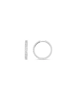 Basics Hoop Earrings