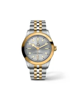 Tudor Black Bay 39 S&G